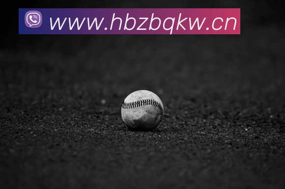 时博体育发展历程